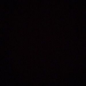 Meet your Posher, Riley